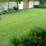 clapham family garden by henrietta gentilli garden design