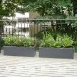 roof patio garden of this Balham