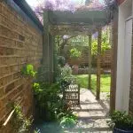 earlsfield mediterranean garden