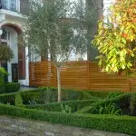 Clapham formal parterre front garden ideas, mediterranean style