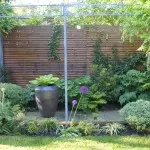 chelsea contemporary gardens
