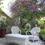 chelsea contemporary gardens