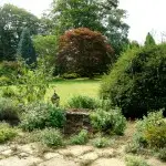 Surrey landscaped garden specimen tree autumn colour