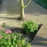 clapham family garden by henrietta gentilli garden design